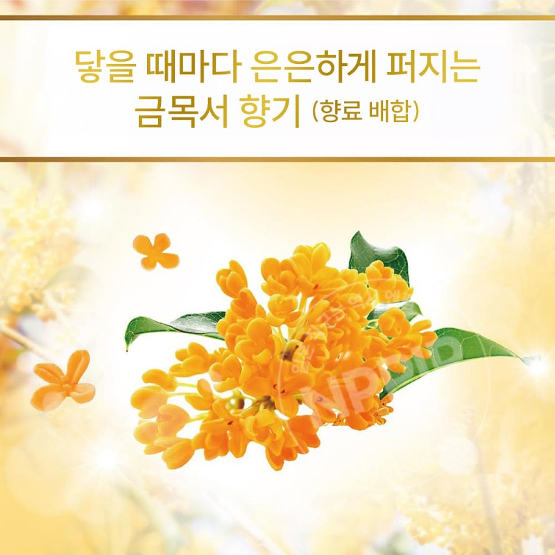 럭스 슈퍼 리치 샤인 금목서 헤어오일 75ml 데미지 케어