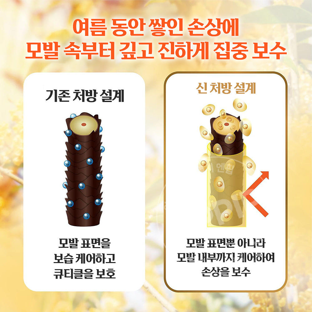 럭스 슈퍼리치 샤인 금목서 샴푸 400g 컨디셔너 400g 세트