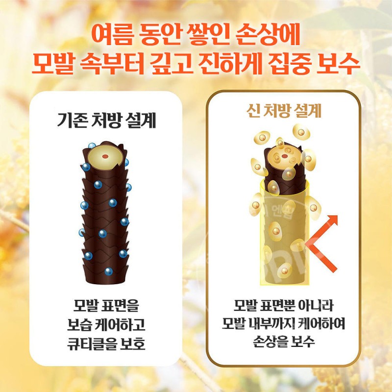 럭스 슈퍼리치 샤인 금목서 샴푸 400g 컨디셔너 400g 세트