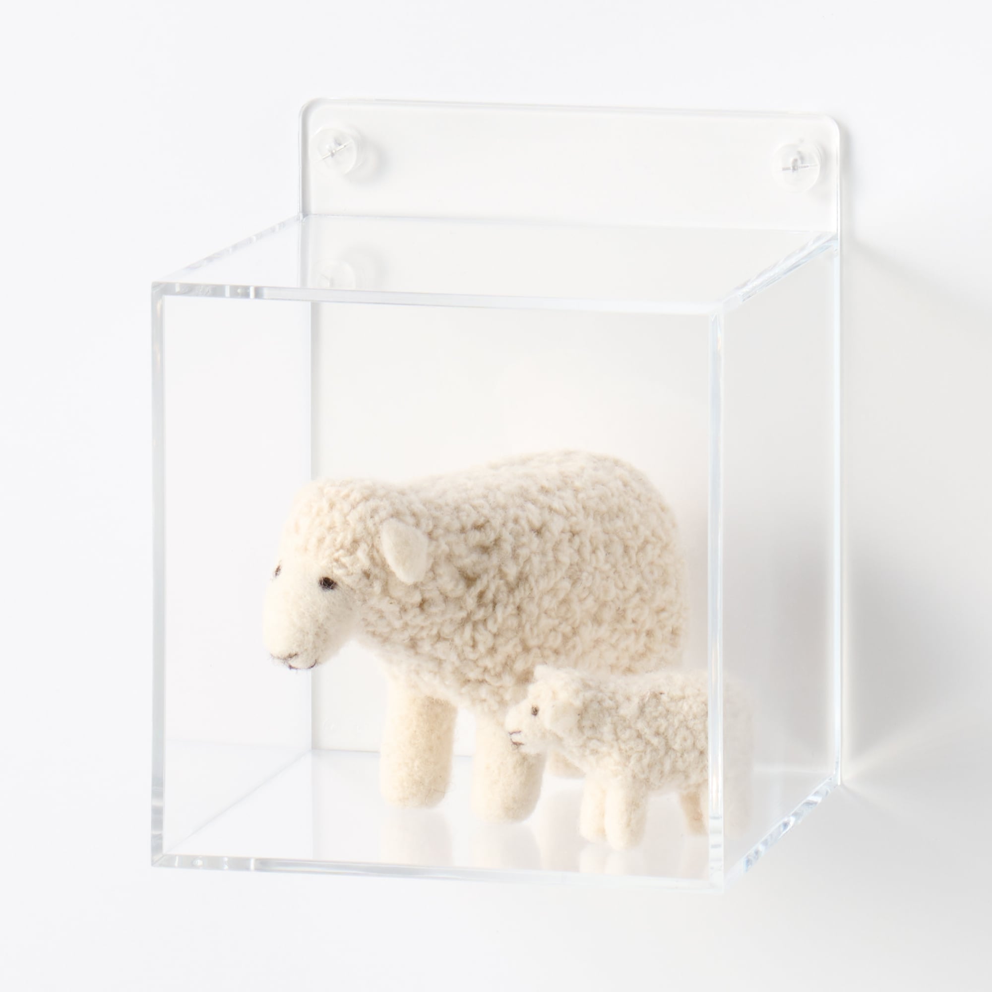 무인양품 벽에 붙이는 아크릴 디스플레이 박스형 약 폭 12.6x깊이 12.4x높이 15cm 석고보드용