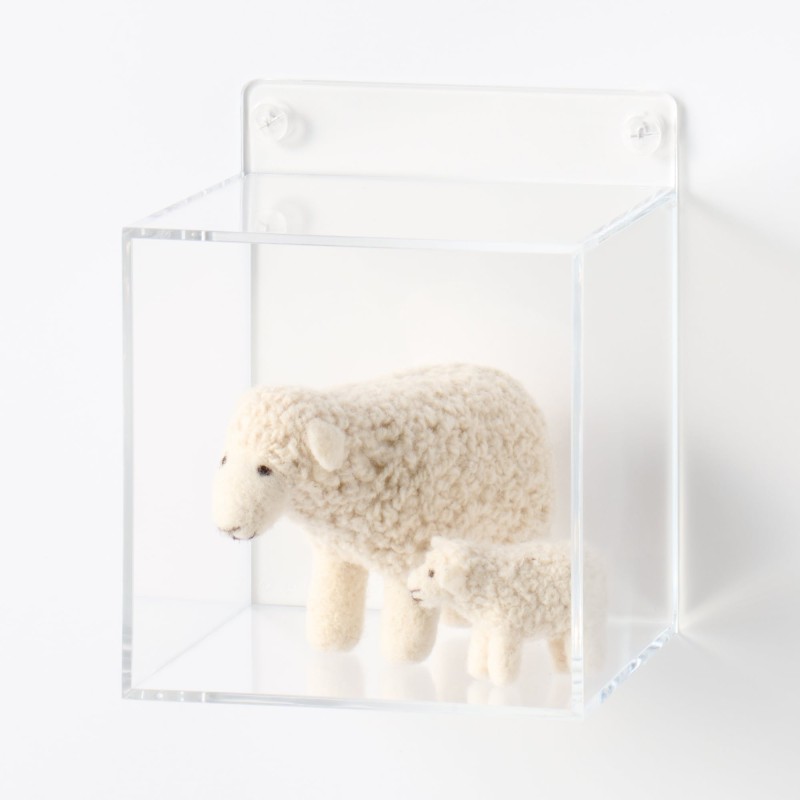 무인양품 벽에 붙이는 아크릴 디스플레이 박스형 약 폭 12.6x깊이 12.4x높이 15cm 석고보드용