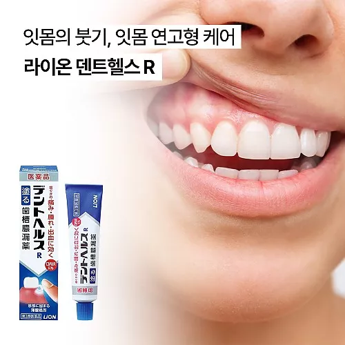 라이온 덴트헬스 R 잇몸 통증 붓기 출혈 연고 20g/40g