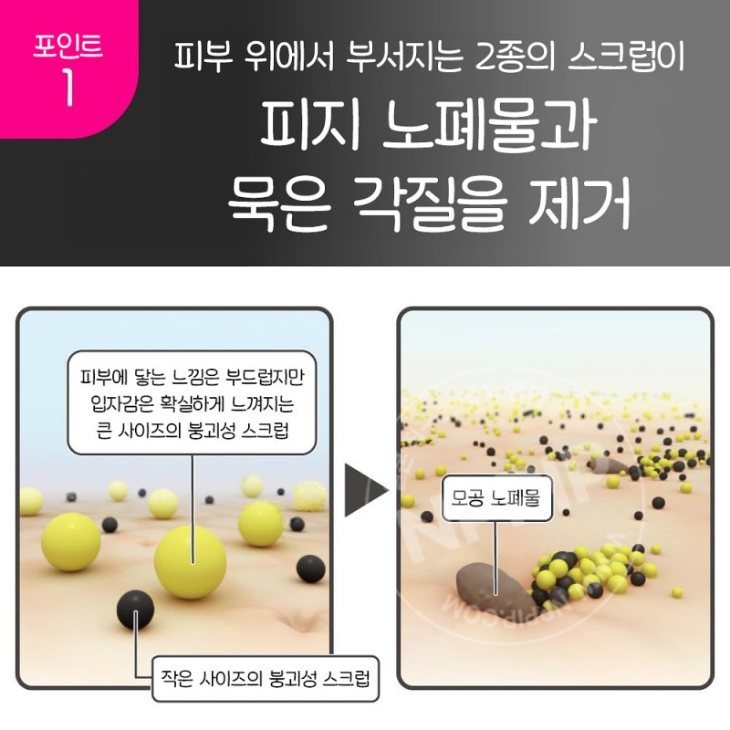 카네보 수이사이 뷰티 클리어 블랙 스크럽 워시 세안제 130g