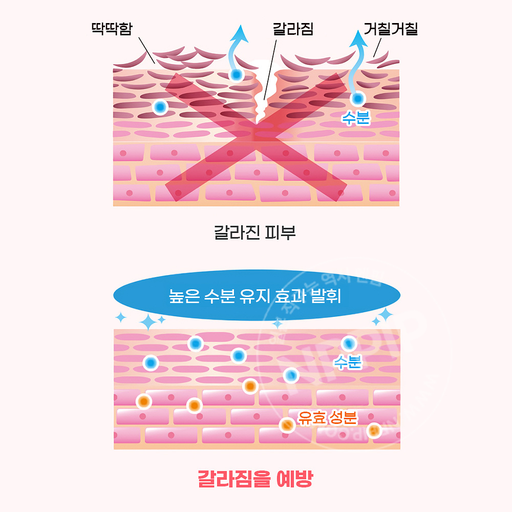 네이처콘크 풋로션 약용 풋케어 발뒤꿈치 로션 발각질 제거 복숭아향 40ml